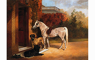 newfoundland dog painting